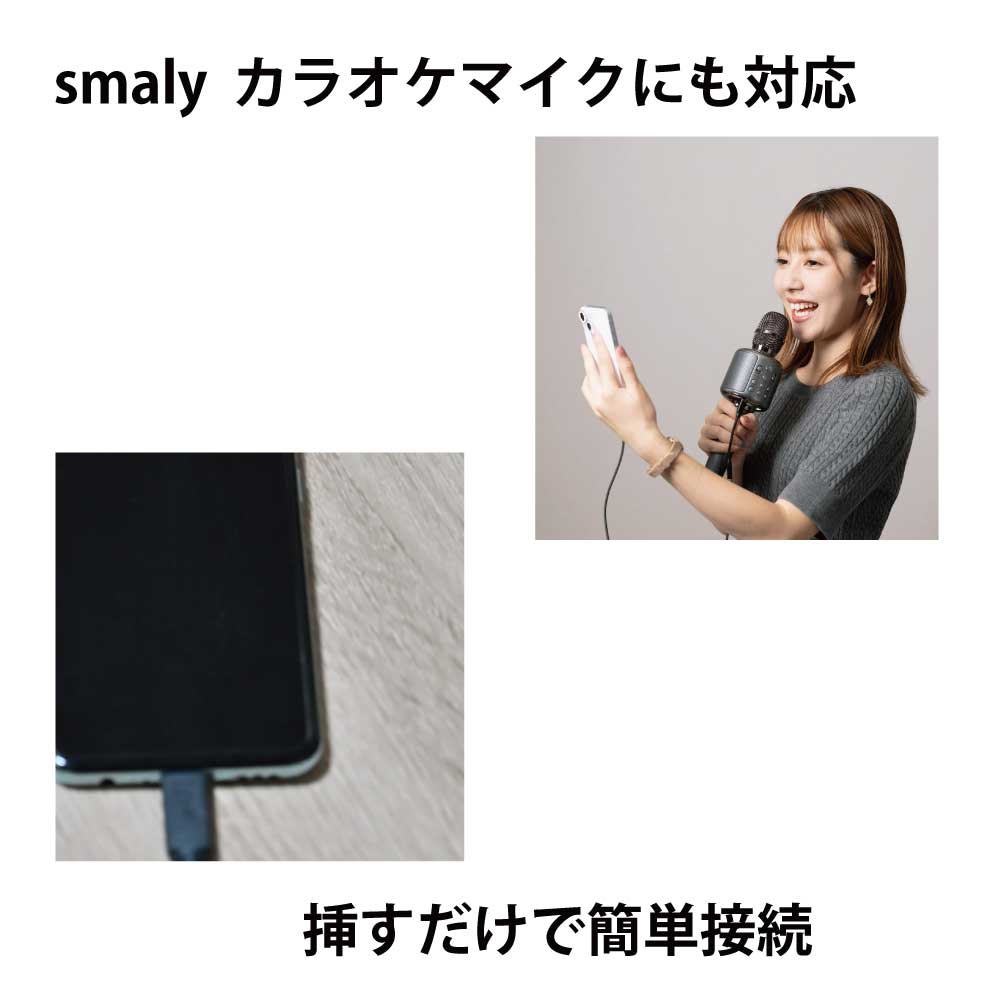 3.5mm 音声変換ケーブル USB Type C  Type-C Lightning ライトニング  イヤホン 変換 ケーブル ヘッドホン イヤホンジャック ステレオジャック オーディオケーブル 変換ケーブル 変換アダプター 変換コネクタ 音楽再生 音声出力 iPhone iPad iPod カラオケ マイク