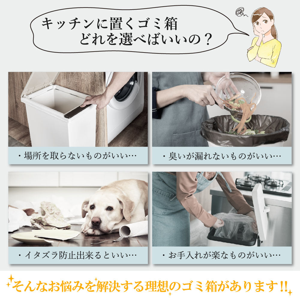 ゴミ箱 9L おしゃれ 壁掛け 扉掛け ぶら下げ ふた付き ダストボックス